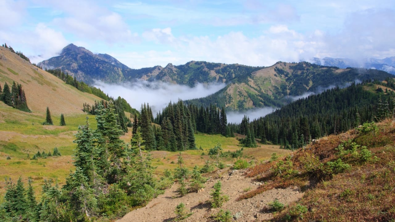 Where to Go When It All Falls Apart: 10 U.S. Safe Zones 11 Where to Go When It All Falls Apart: 10 U.S. Safe Zones - Olympic Peninsula mountains dp8697671 dnoh