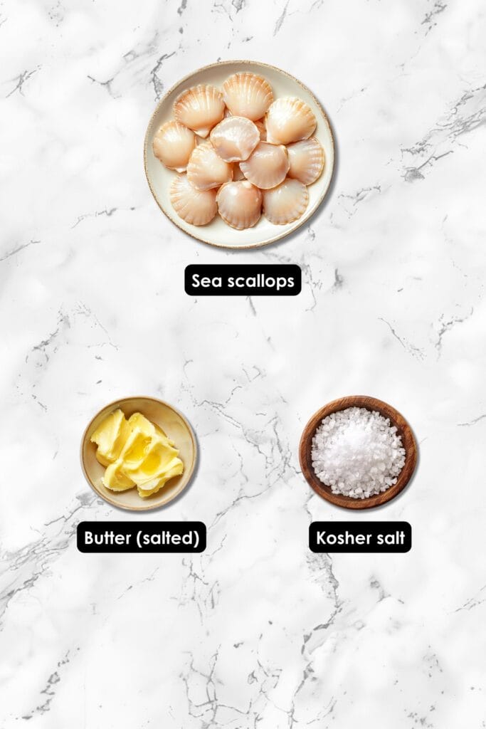 Luxurious Pan-Seared Scallops Recipe for Carnivore Meals 3 Luxurious Pan-Seared Scallops Recipe for Carnivore Meals - Pan Seared Scallops Ingredients