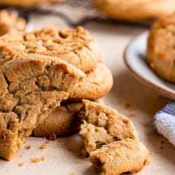 the chewy peanut butter cookies that dont turn into hockey pucks 6 the chewy peanut butter cookies that dont turn into hockey pucks - Peanut butter cookies s1805460793dnoh