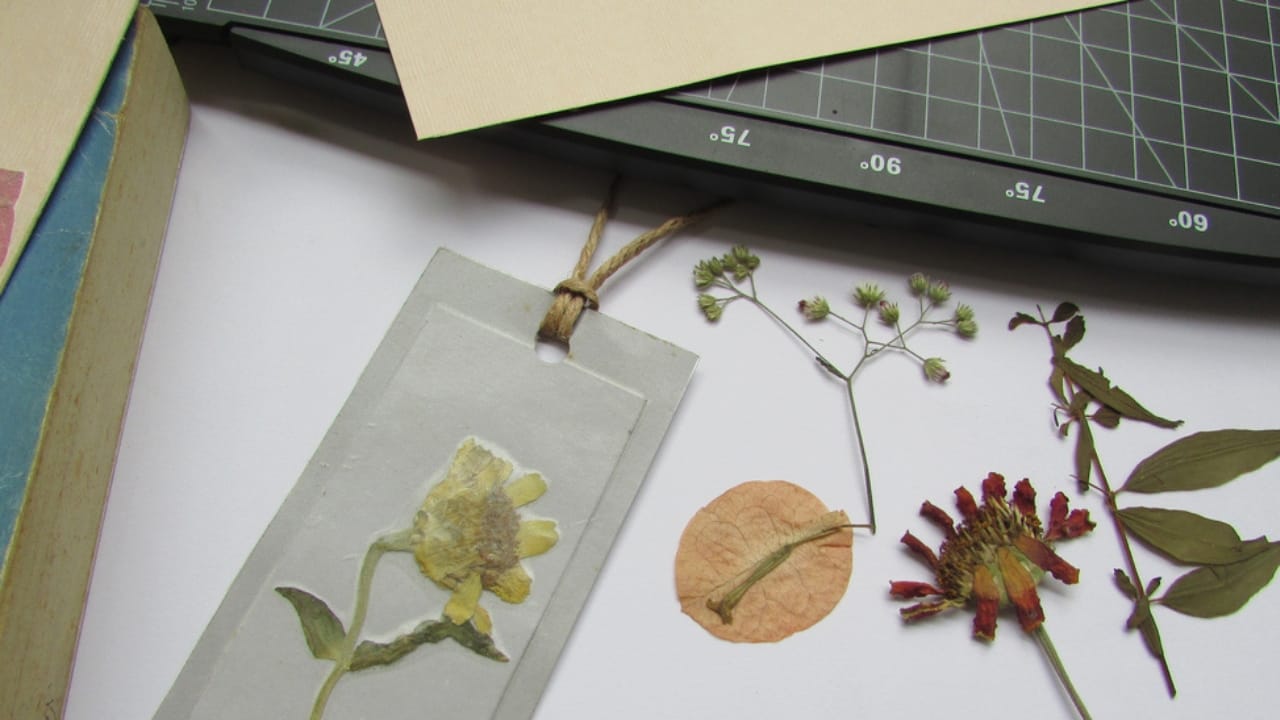 25 Creative DIY Gifts for a Memorable Holiday Season - Pressed Flower Bookmarks ss1915277953 dpdgm