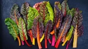 20 cut and come again vegetables that feel like free food forever 1 20 cut and come again vegetables that feel like free food forever - Raw colourful chard ss2440539853 degm