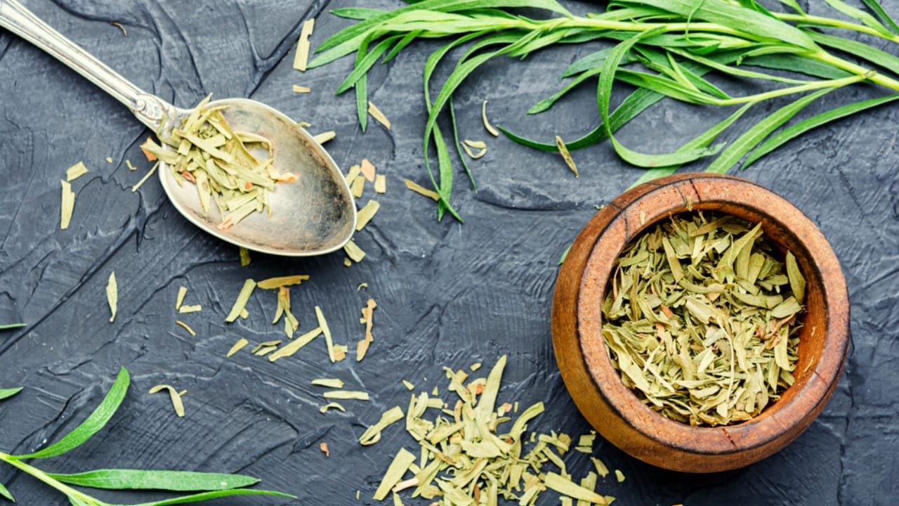 11 Herbs to Dry Now for Freshness That Lasts All Year - Raw and dry tarragon spice dp404100890 dnoh