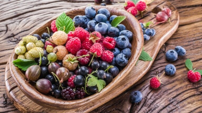 14 Native Berries to Grow for Flavor, Health & Easy Gardening 1 14 Native Berries to Grow for Flavor, Health & Easy Gardening - Ripe berries in the wooden bowl dp127603236 dnoh