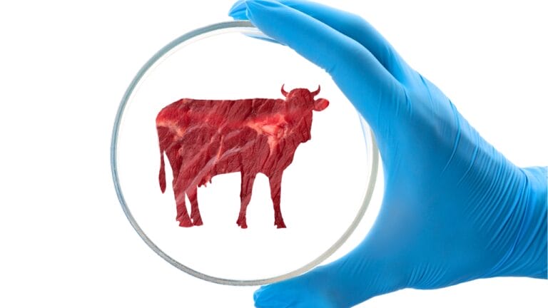 Lab-Grown Meat Hits Farms, Transforming How We Make Food 4 Lab-Grown Meat Hits Farms, Transforming How We Make Food - Scientist holding Petri dish with cow silhouette made of beef ss2034500810 degm