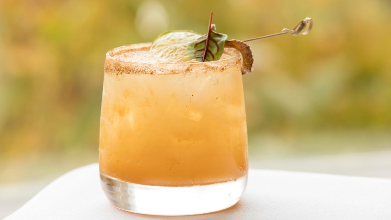 20 Fall Cocktails Full of Warm, Cozy Flavors 20 20 Fall Cocktails Full of Warm, Cozy Flavors - Smoky Mezcal Apple Cider Margarita ss1909118572 dnoh