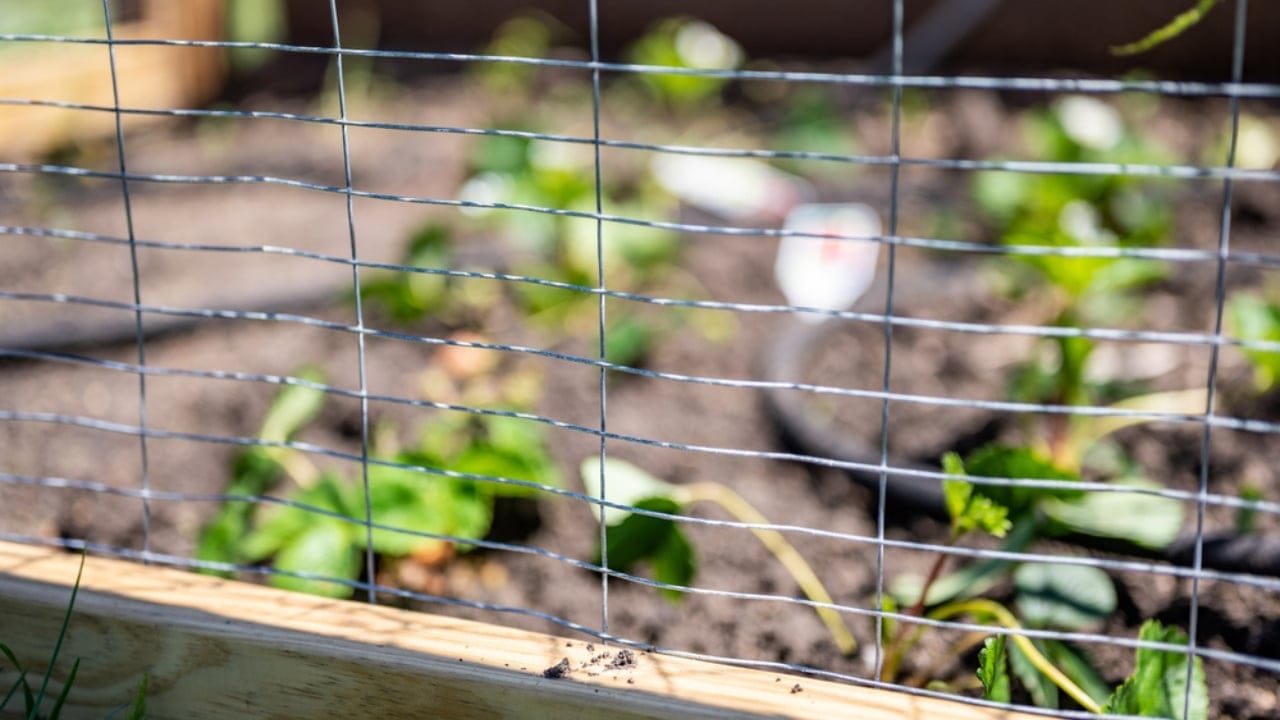 7 Smart Ways to Keep Snakes Away from Your Home 8 7 Smart Ways to Keep Snakes Away from Your Home - Snake Fencing wire fencing ss1988250881 adyh