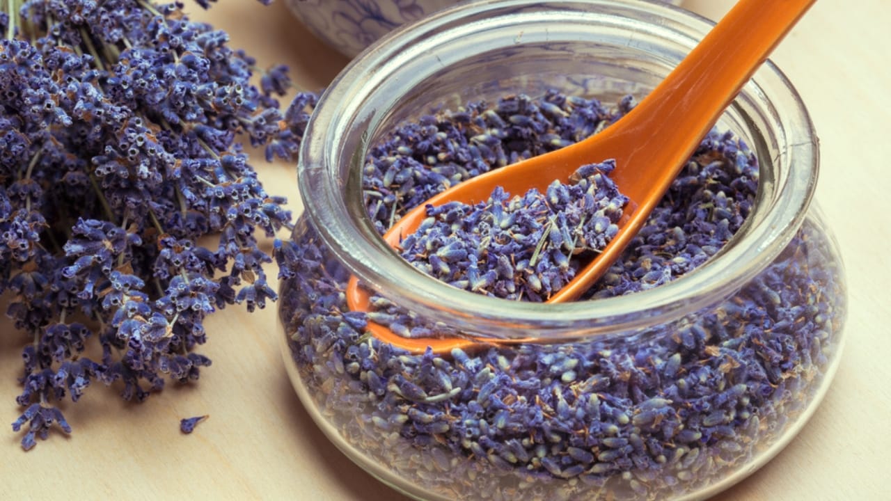 11 Herbs to Dry Now for Freshness That Lasts All Year - Spoon of dry lavender flowers dp209006702 dnoh
