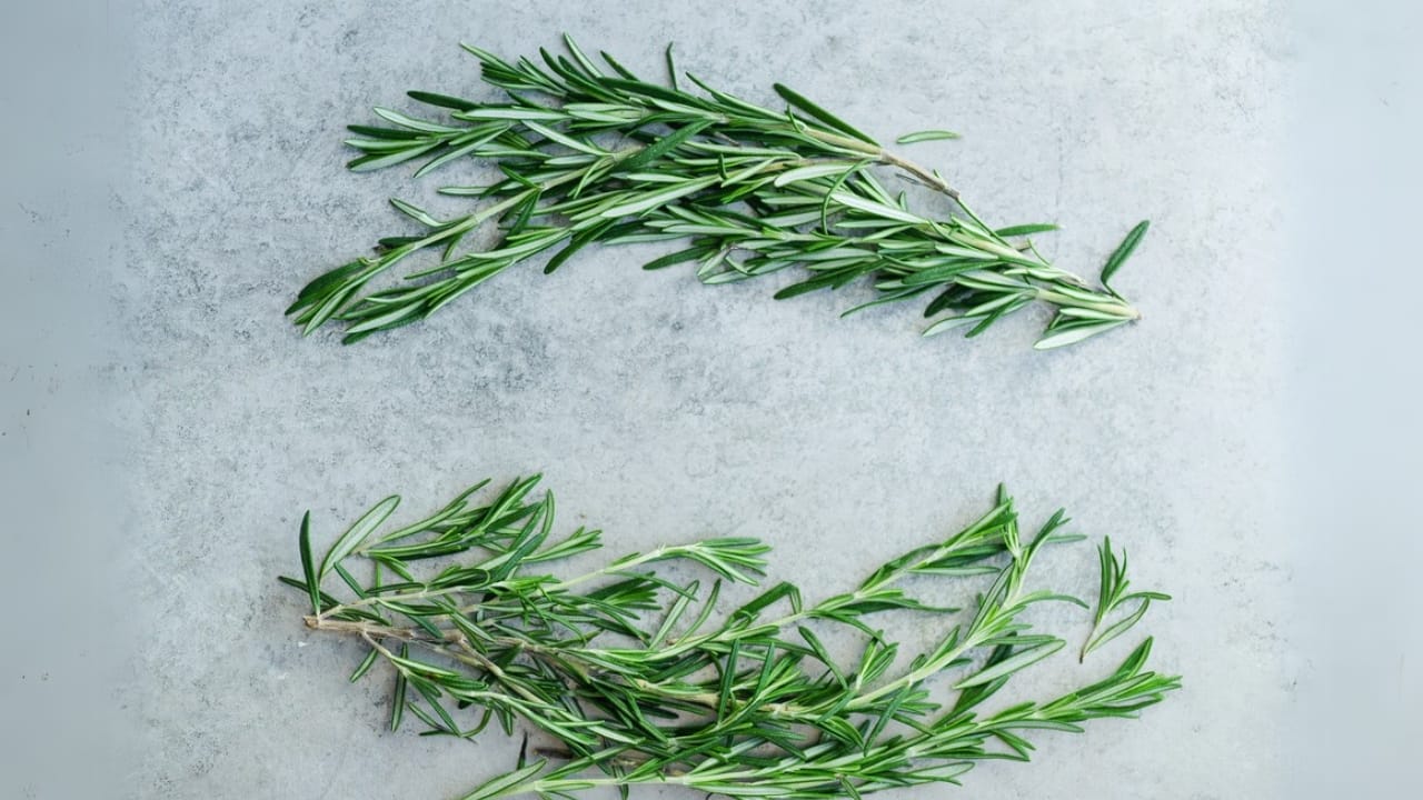 The Herbs I Stopped Using After My Chickens Got Sick 5 The Herbs I Stopped Using After My Chickens Got Sick - Sprig of Rosemary dp193027782 dnoh