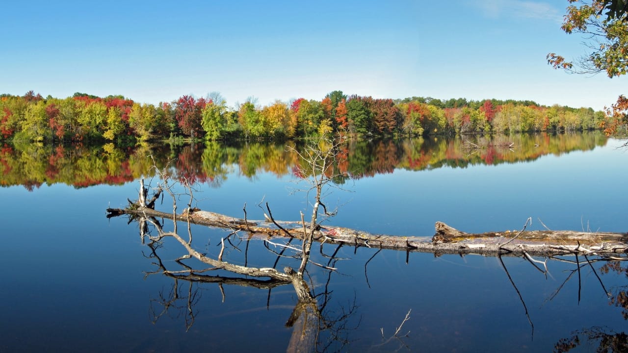 Where to Go When It All Falls Apart: 10 U.S. Safe Zones - Stillwater River Maine wc