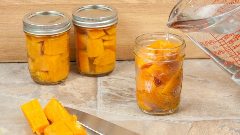 Canning Sweet Potatoes: Lock in Flavor, Nutrition, and Safety 7 Canning Sweet Potatoes: Lock in Flavor, Nutrition, and Safety - Sweet Potato Canning dp260167872 dnoh