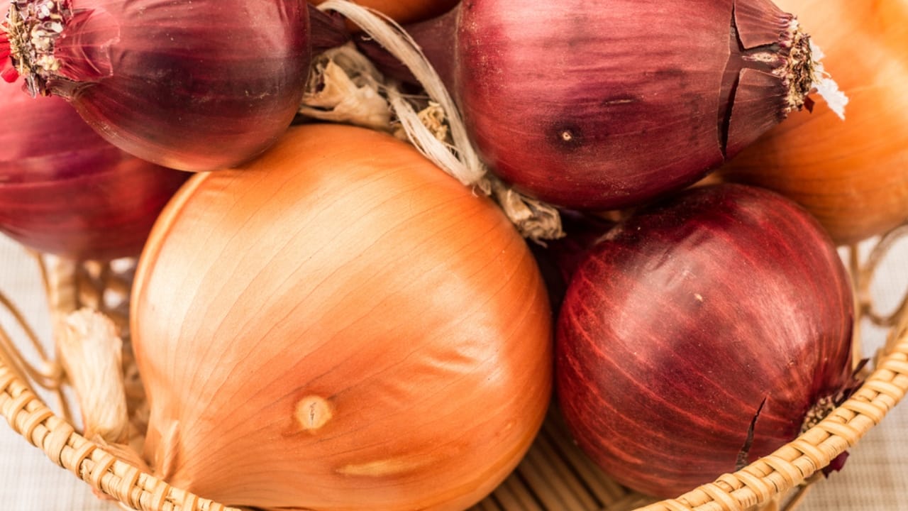 Beat Spoilage: How to Keep Onions Fresh for Months - Various types of onions in the basket dp348604574 dnoh