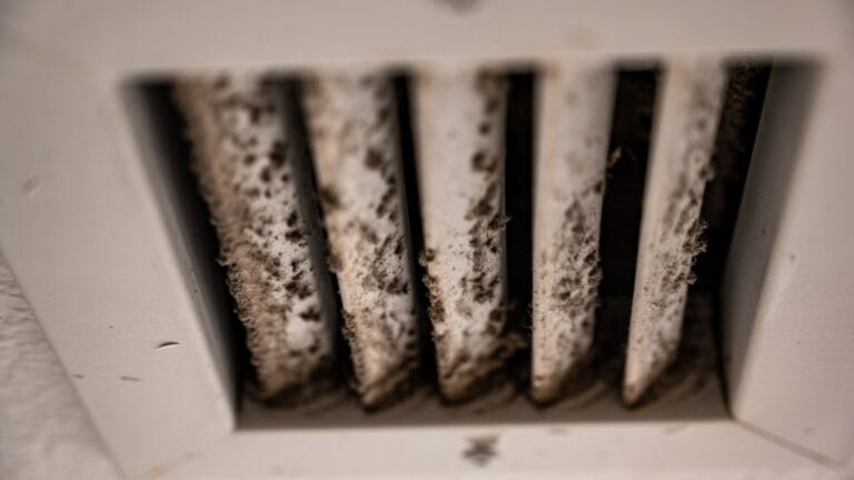 Mold Mites Invade Bathrooms: How to Fight Back - White vent showing dirt and grime dp620814908 dnoh