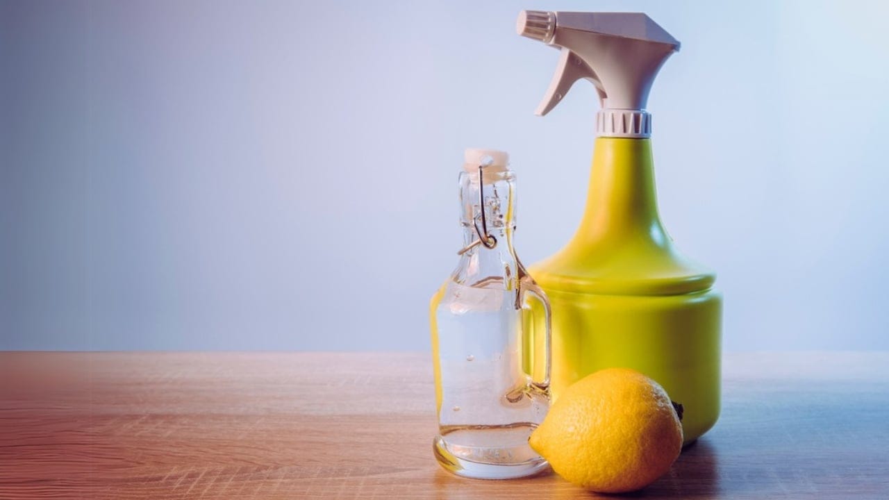 Ditch Chemicals with This Easy DIY Lemon Vinegar Cleaner - White vinegar cleaning products concept ss1905726550 dpdgm