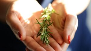 5 Reasons a Sprig of Rosemary Belongs in Your Wallet 1 5 Reasons a Sprig of Rosemary Belongs in Your Wallet - Woman holding a rosemary brunch dp144130123 dnoh