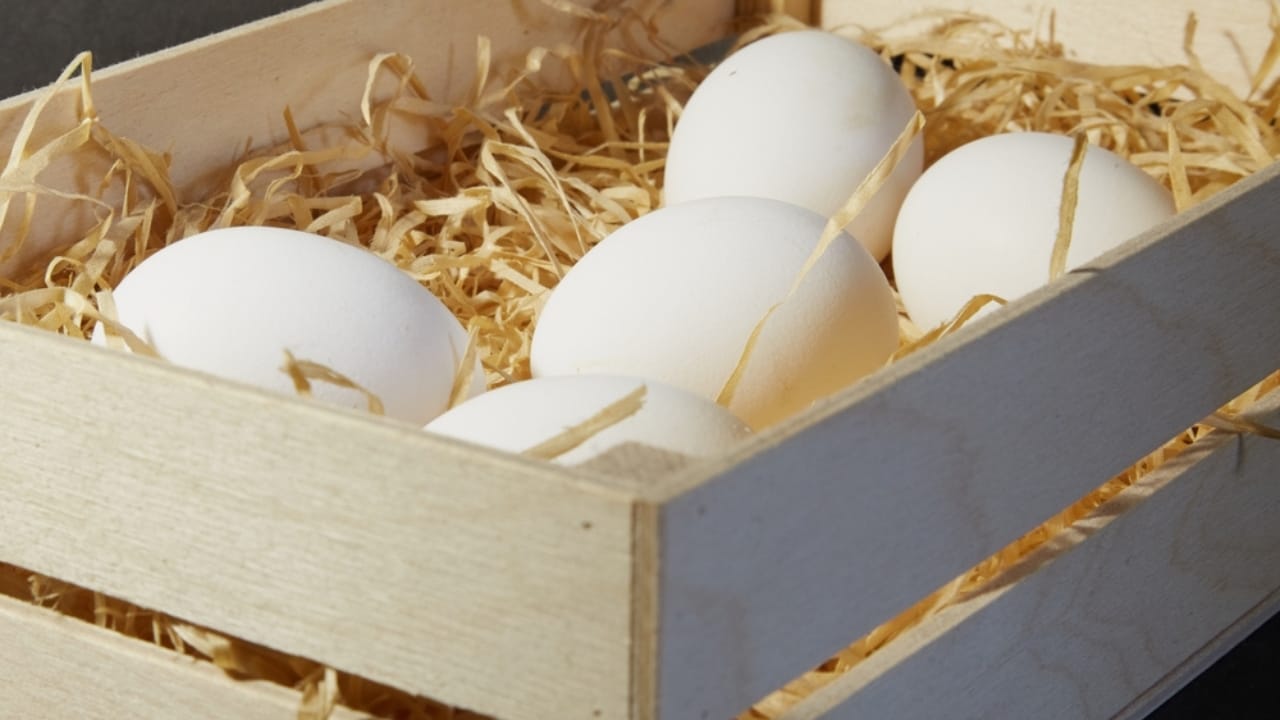 15 Ingenious Life Hacks from 100 Years Ago That Still Work 15 15 Ingenious Life Hacks from 100 Years Ago That Still Work -