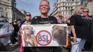 13 Dog Breeds Facing Bans & Restrictions Worldwide 1 13 Dog Breeds Facing Bans & Restrictions Worldwide - XL Bully owners protesting ss2372097019 adyh