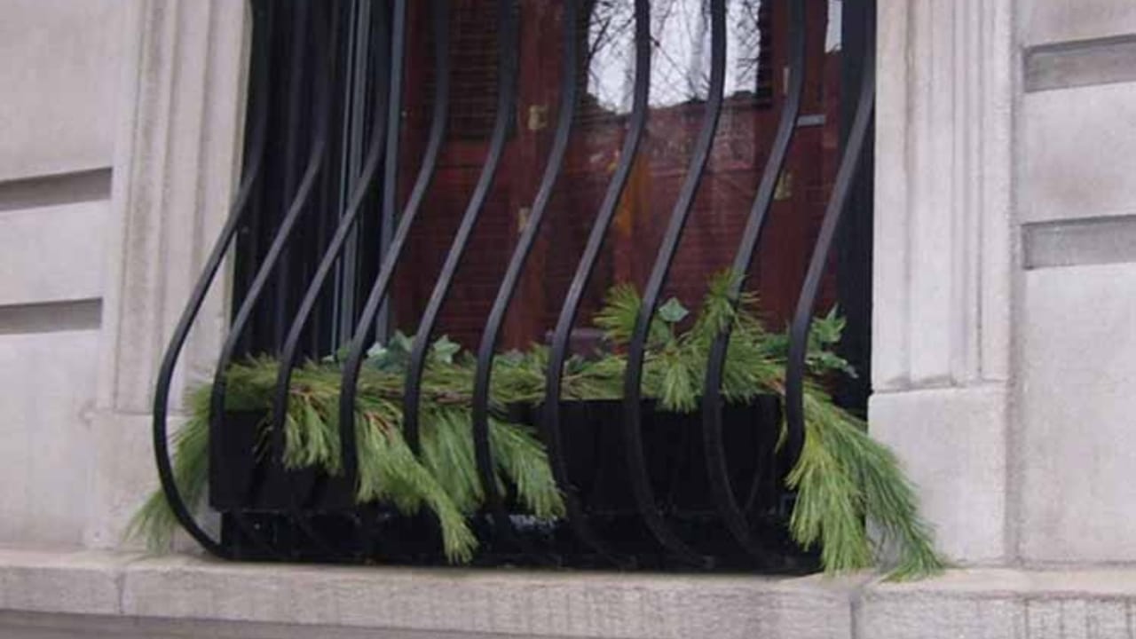 Why Some Window Bars Curve: The Secret Behind the Design 4 Why Some Window Bars Curve: The Secret Behind the Design - aesthetic belly grill