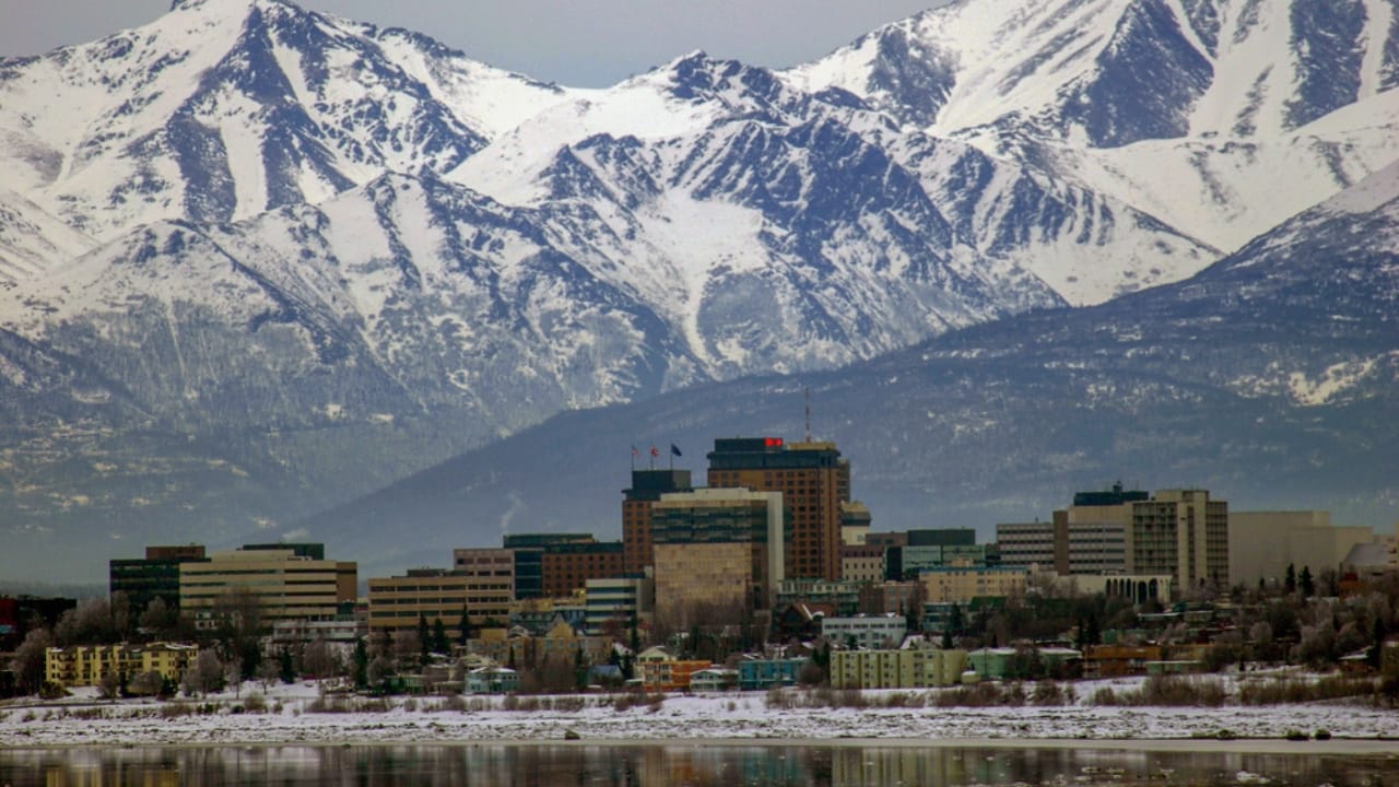 The 15 States Where You’re Most Likely to Spot a Cougar 15 The 15 States Where You’re Most Likely to Spot a Cougar - alaska anchorage dp178630406 dnoh