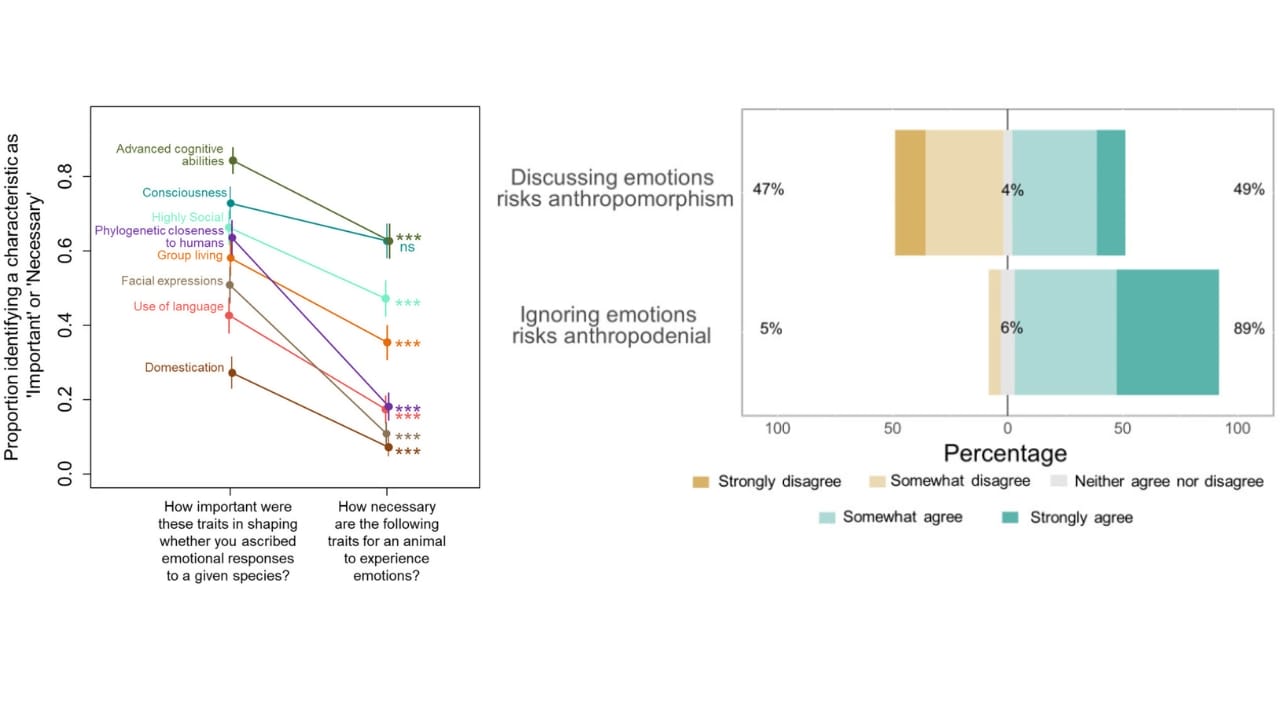 Scientists Suggest Animals—and Maybe Insects—Feel Emotions 4 Scientists Suggest Animals—and Maybe Insects—Feel Emotions - animals behavior chart 2 animals behavior chart 3