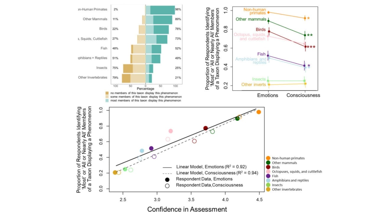 Scientists Suggest Animals—and Maybe Insects—Feel Emotions 3 Scientists Suggest Animals—and Maybe Insects—Feel Emotions - animals behavior chart animals behavior chart 1