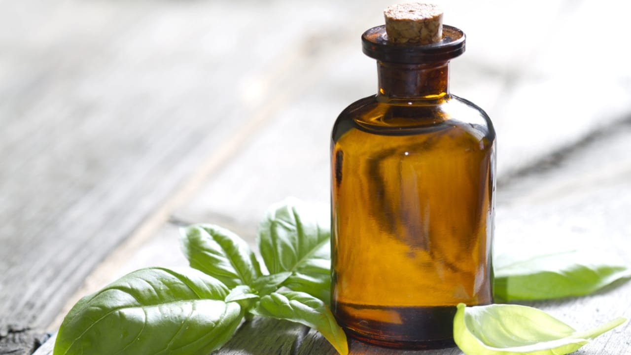 15 Scents Bed Bugs Hate—and How to Use Them - basil oil dp76278725 dnoh