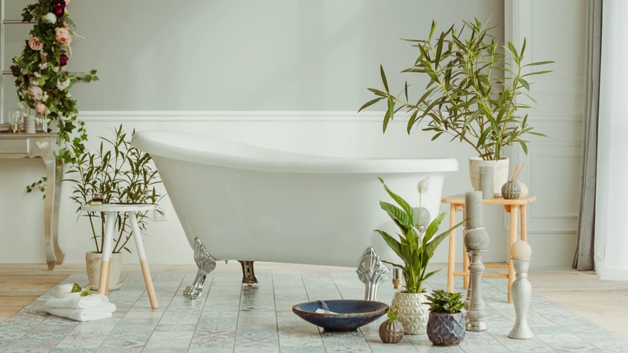 Bathroom Plants Made Easy: 15 Care Tips for a Lush Look - bathroom bathtub and plants dp209203478 dnoh