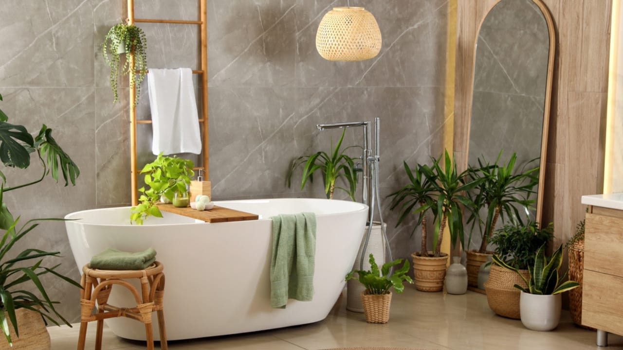 Bathroom Plants Made Easy: 15 Care Tips for a Lush Look - bathroom bathtub plants dp574943576 dnoh