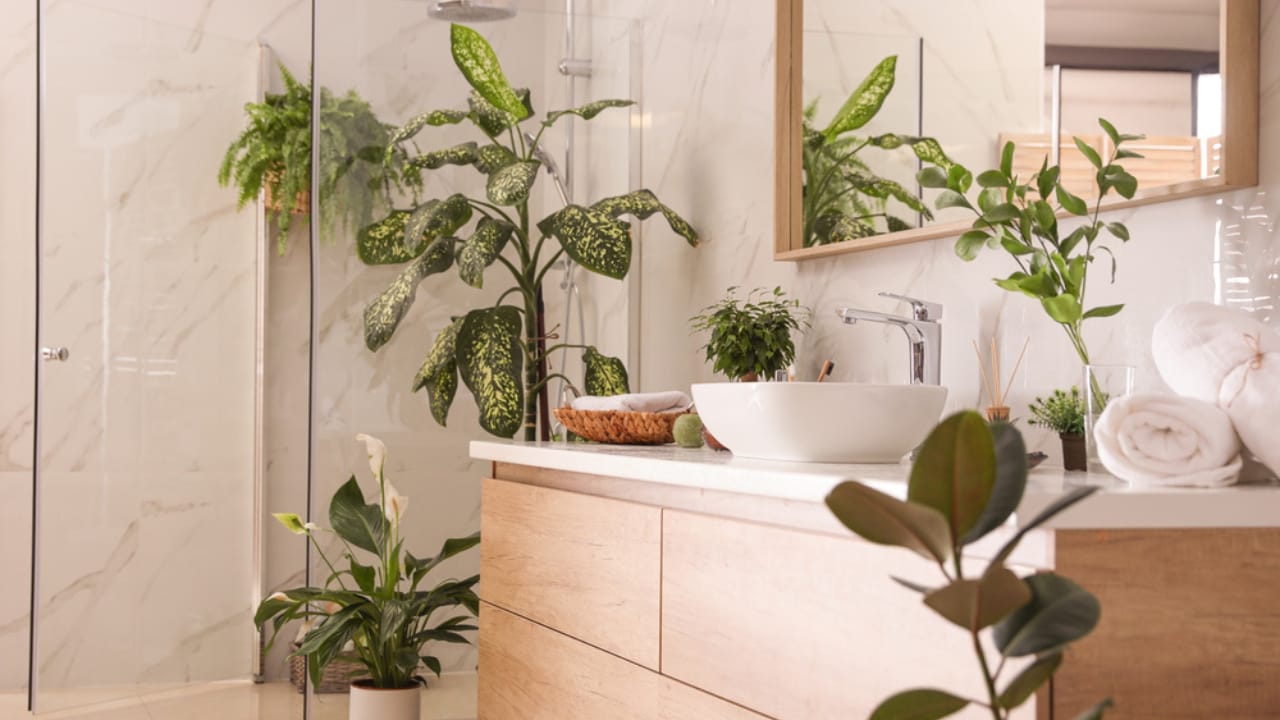 Bathroom Plants Made Easy: 15 Care Tips for a Lush Look - bathroom plants dp340383636 dnoh