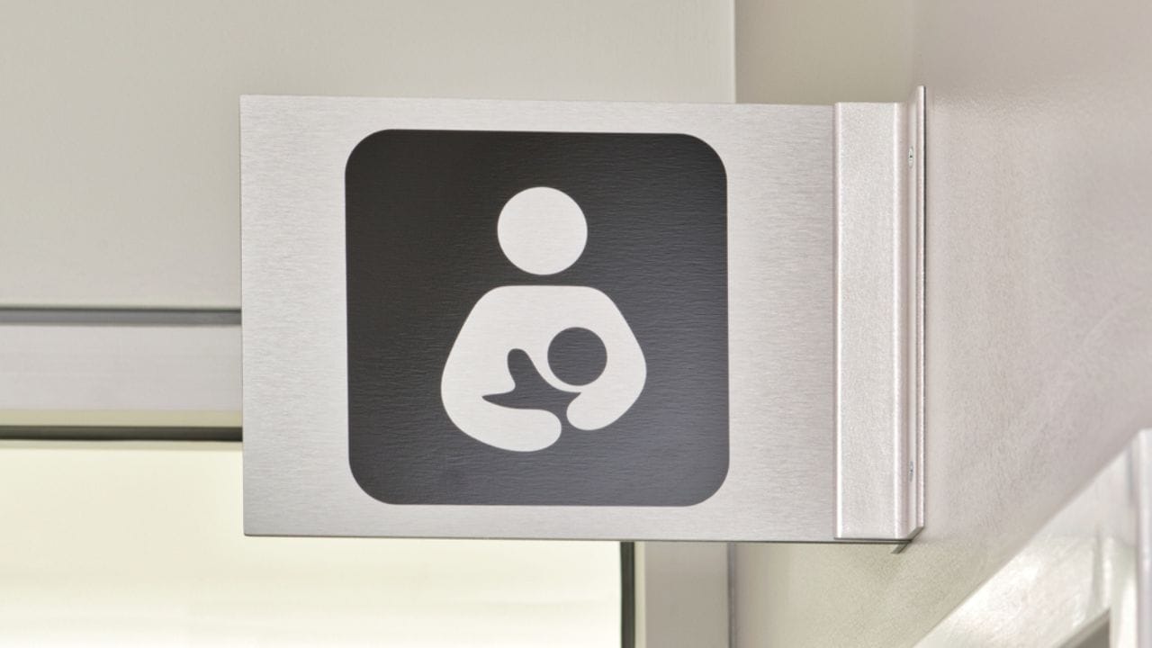 Why Hollyhocks Belong in Every Garden 6 Why Hollyhocks Belong in Every Garden - breast feed ss2399554071 adyh