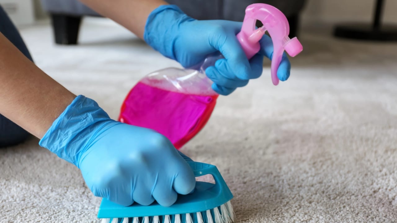 Avoid These 15 Overhyped Cleaning Products to Save Cash - carpet stain remover dp253555676 dnoh