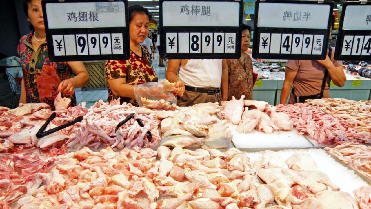 Beat Inflation at the Checkout: 16 Ways to Save on Groceries 6 Beat Inflation at the Checkout: 16 Ways to Save on Groceries - chicken products at a supermarket dp244864530 dnoh