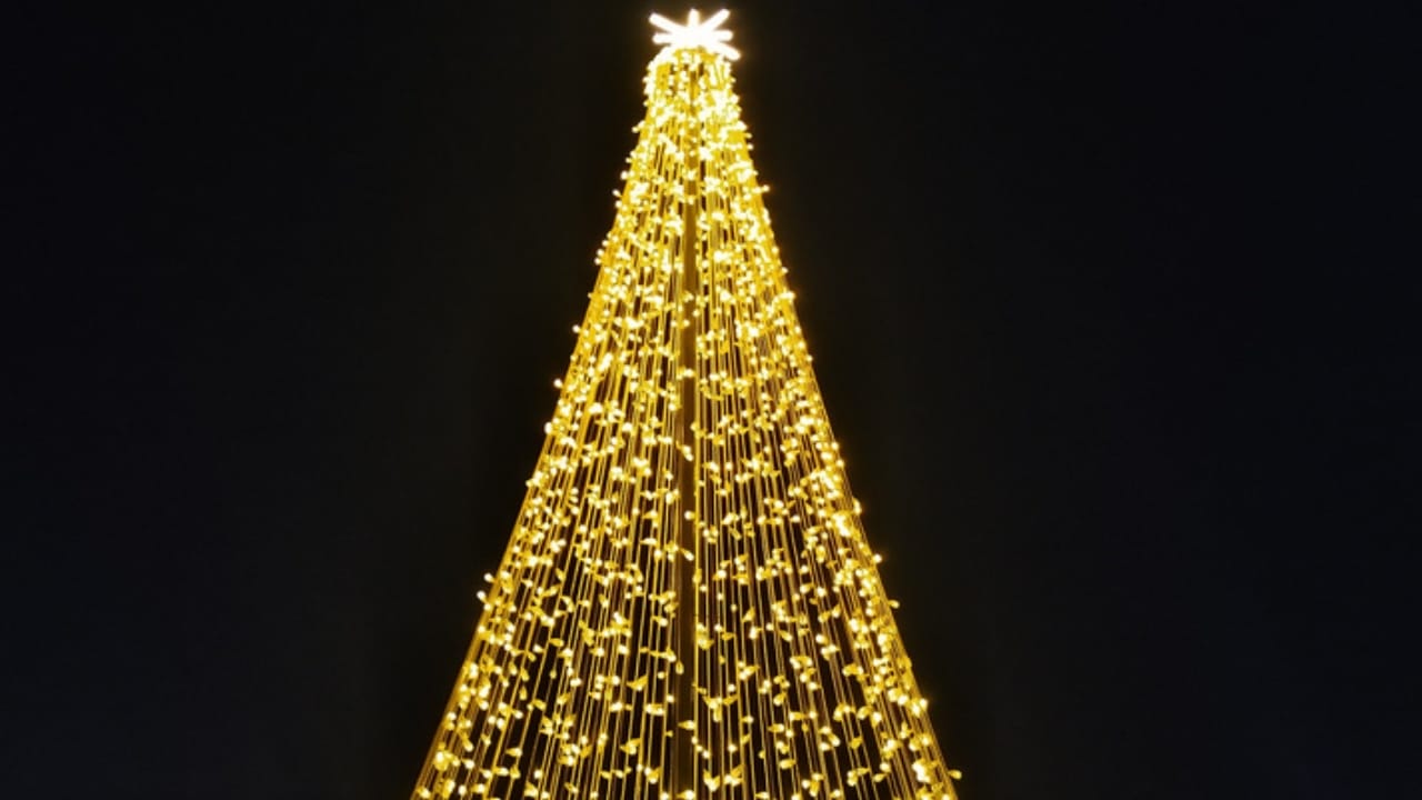 Hanging Lights Made Simple: Try This Vertical Tree Hack 5 Hanging Lights Made Simple: Try This Vertical Tree Hack - christmas tree christmas light ss1733505680 dpdgm