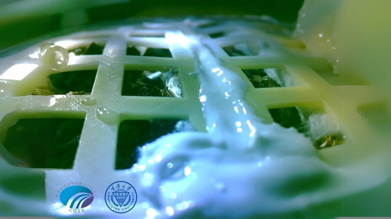 First Two-Leaf Plant Grows on the Moon, Thanks to China 2 First Two-Leaf Plant Grows on the Moon, Thanks to China - cotton plant germinating