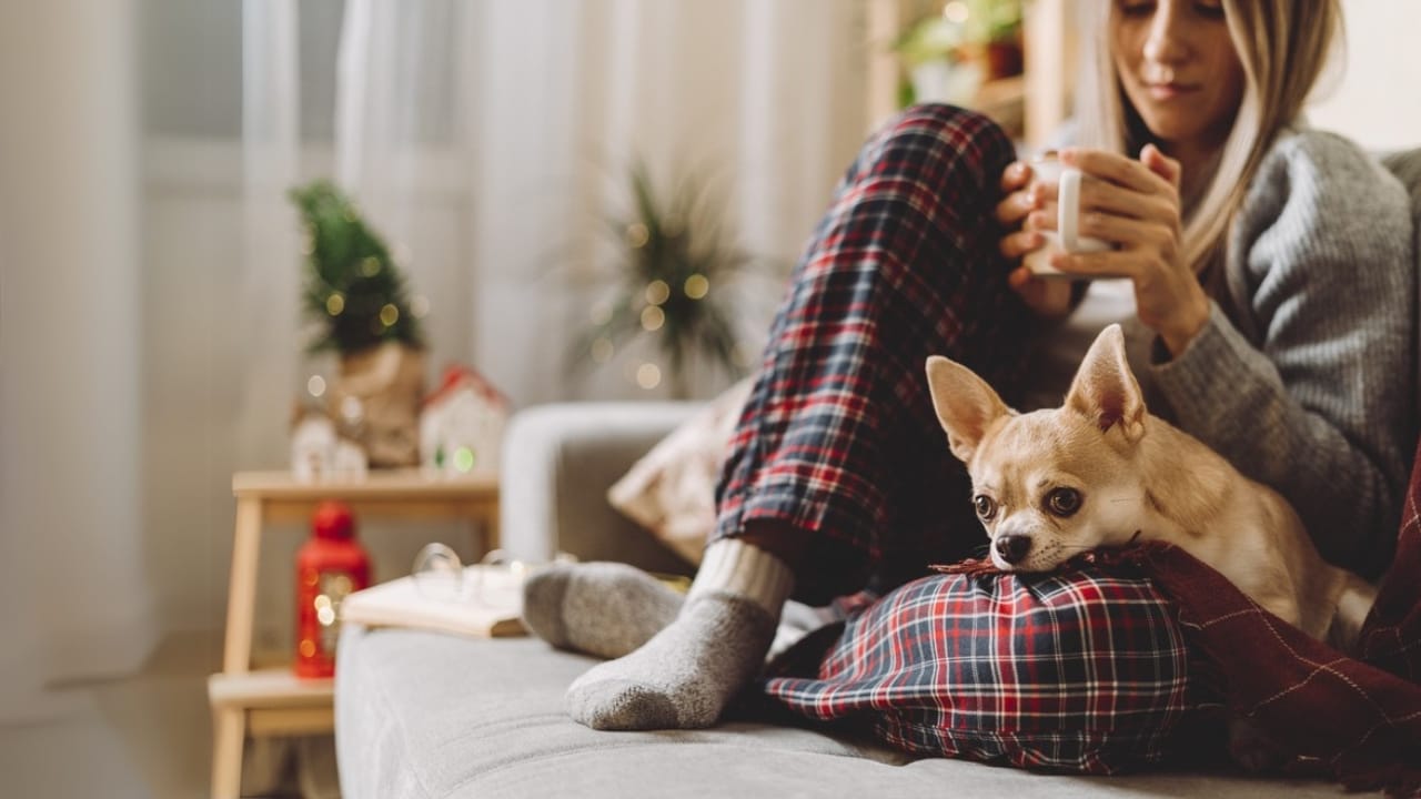 13 Ways to Stay Warm Without Cranking the Heat 14 13 Ways to Stay Warm Without Cranking the Heat - cozy woman in knitted winter drinking coffee dp613725332 dnoh