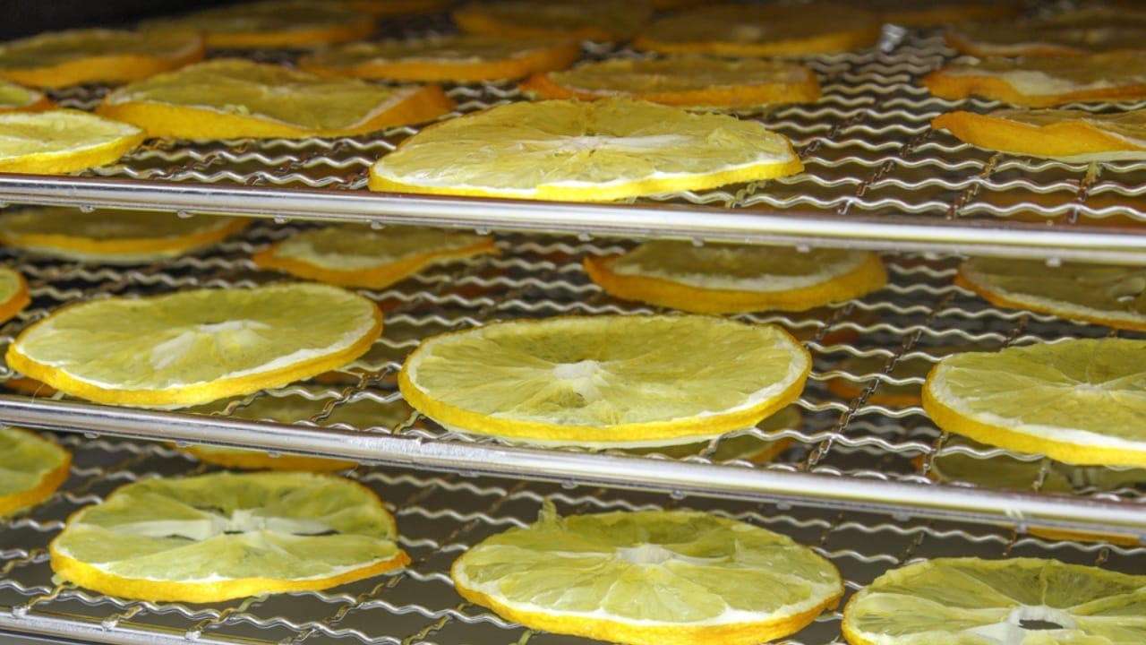 Don't Toss Those Lemon Peels... Make Lemon Powder Instead - dehydrated lemon ss2409640993 dpdgm