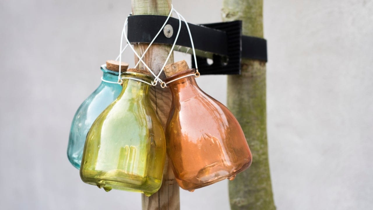 12 Hacks to Keep Wasps Out of Your Yard & Home Next Summer - different color wasp traps ss1361326073 adyh