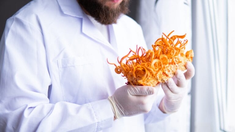 Caterpillar Fungus May Hold the Secret to Fighting Cancer 10 Caterpillar Fungus May Hold the Secret to Fighting Cancer - doctor with cordyceps dp545694022 dnoh