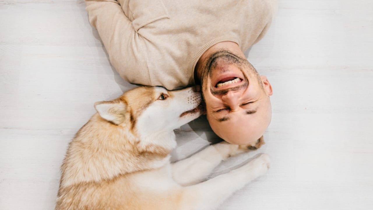 Faith Meets Science in the Debate Over Dogs’ Souls 7 Faith Meets Science in the Debate Over Dogs’ Souls - dog with owner ss745148629 adyh