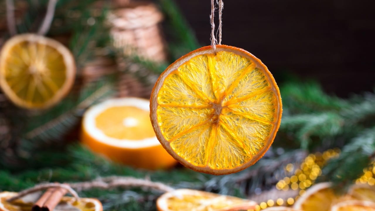 Dried Orange Garlands: A Timeless Winter Tradition - dried orange garland christmas decoration dp229990458 dnoh
