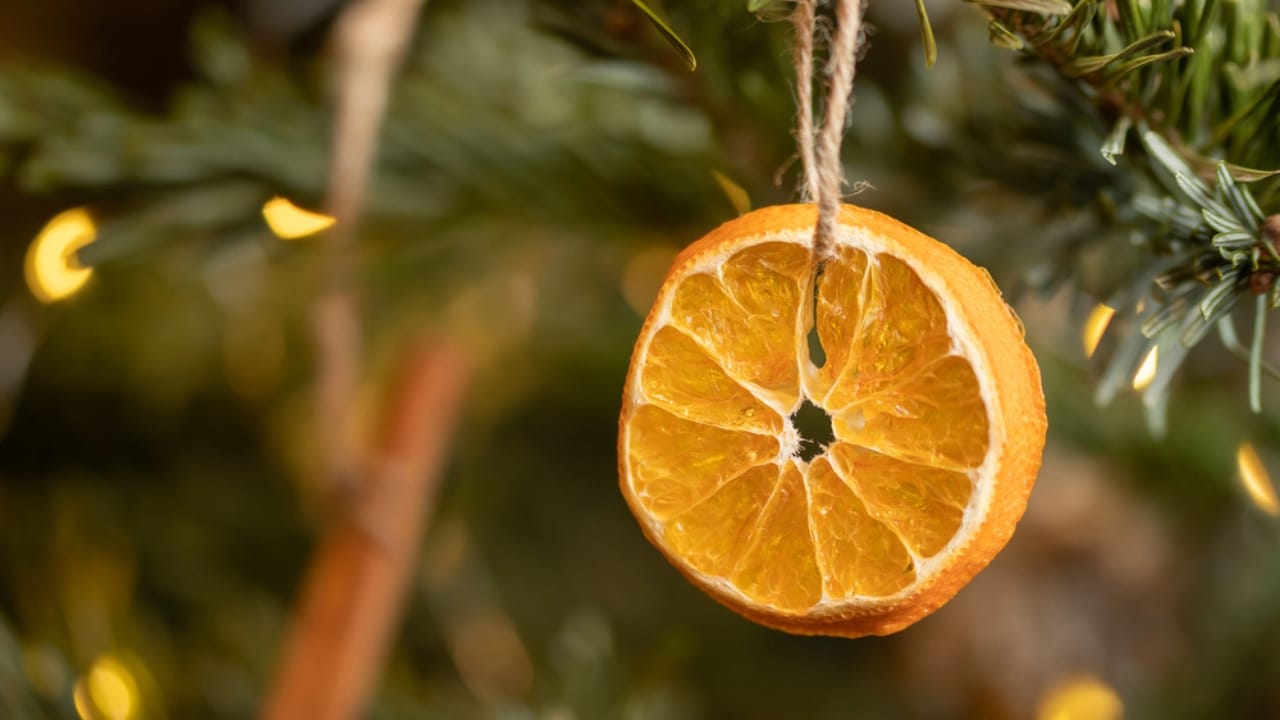 Dried Orange Garlands: A Timeless Winter Tradition - dried orange garland christmas decoration dp370139778 dnoh