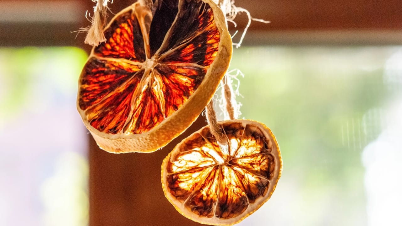 Dried Orange Garlands: A Timeless Winter Tradition - dried orange garland dp315538364 dnoh