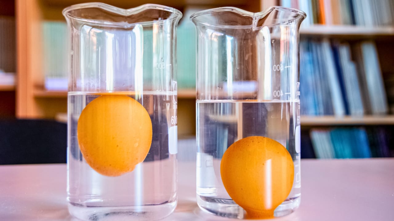 17 Cooking Hacks Every Home Cook Should Try 16 17 Cooking Hacks Every Home Cook Should Try - eggs in water ss1727440996 degm