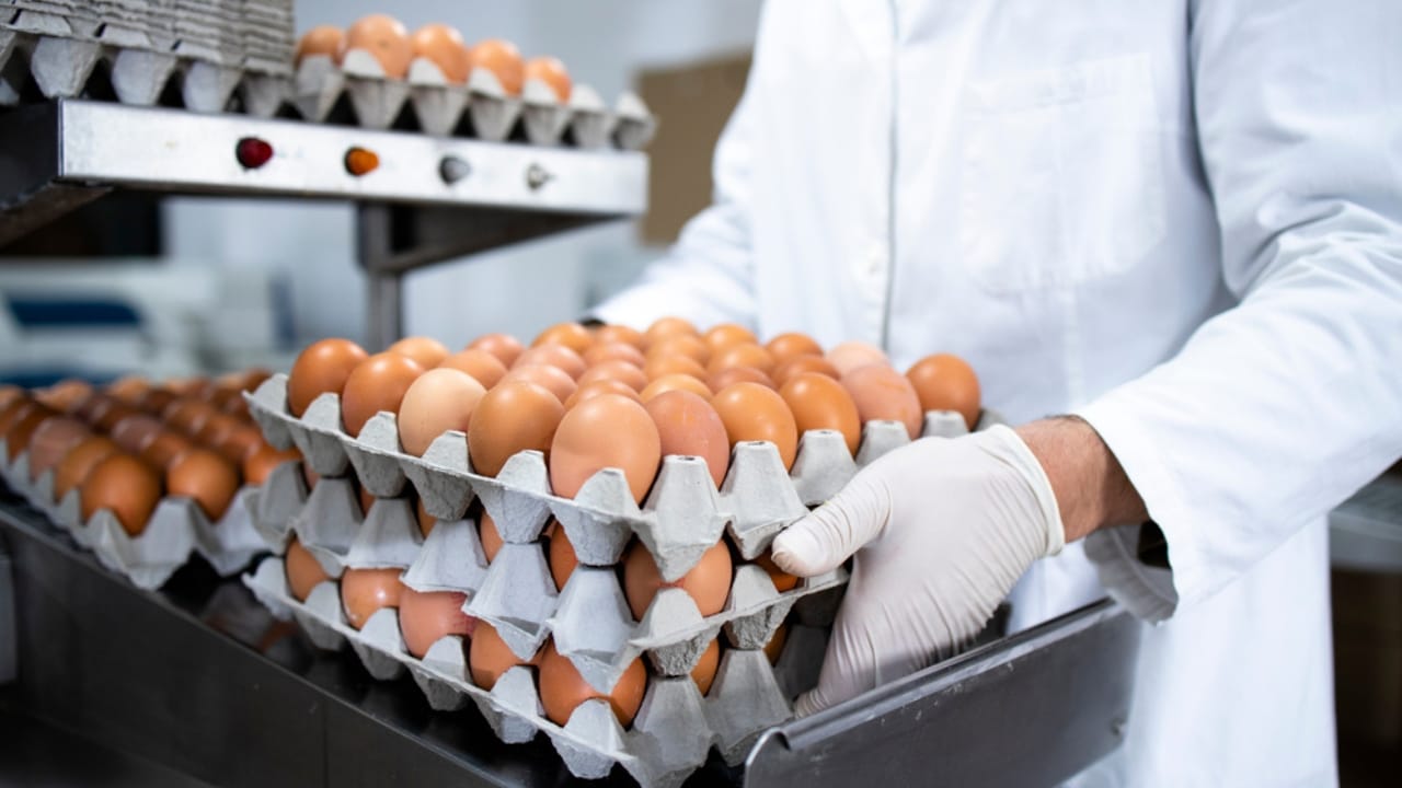 22 Egg Storage Hacks That Actually Work - eggs in tray ss1945978450 dpdgm