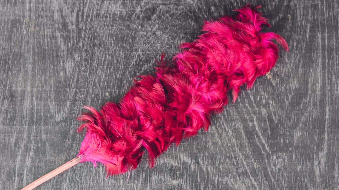 Avoid These 15 Overhyped Cleaning Products to Save Cash 11 Avoid These 15 Overhyped Cleaning Products to Save Cash - feather duster dp151699226 dnoh