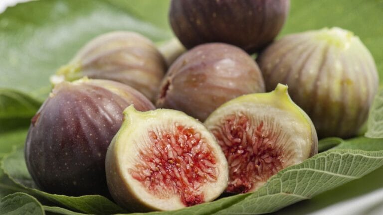 Grow Juicy Figs That Last Decades: 13 Steps to Start Now 5 Grow Juicy Figs That Last Decades: 13 Steps to Start Now - figs dp19619895 dnoh