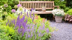 Plants That Thrive in Drought: 15 Low-Water Picks 1 Plants That Thrive in Drought: 15 Low-Water Picks - garden design ss1758512636 ss1758512636 degm