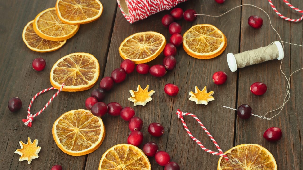Handmade Cranberry Garlands: A Timeless Decoration for the Holiday Season - garland dried orange slices cranberries ss1849772080 degm