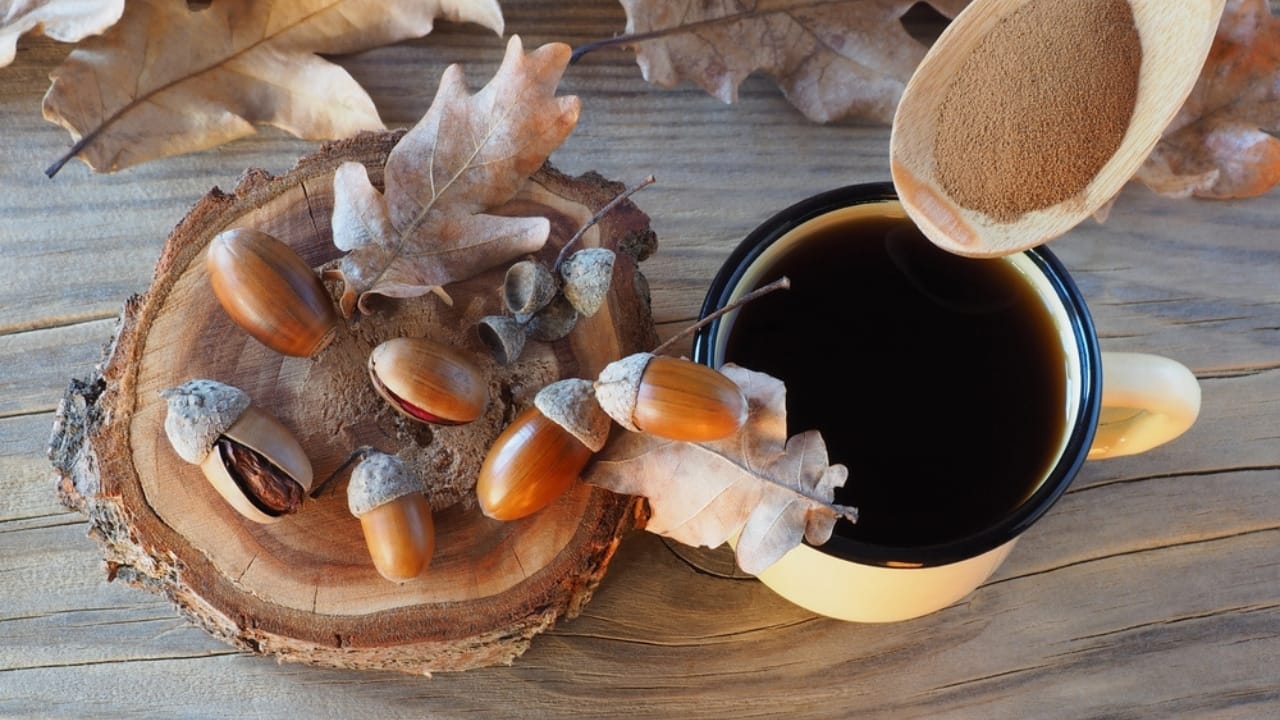The Tasty Truth About Acorns: A Nutrient-Packed Survival Staple 6 The Tasty Truth About Acorns: A Nutrient-Packed Survival Staple - ground acorn powder acorn coffee ss2076131725 dpdgm