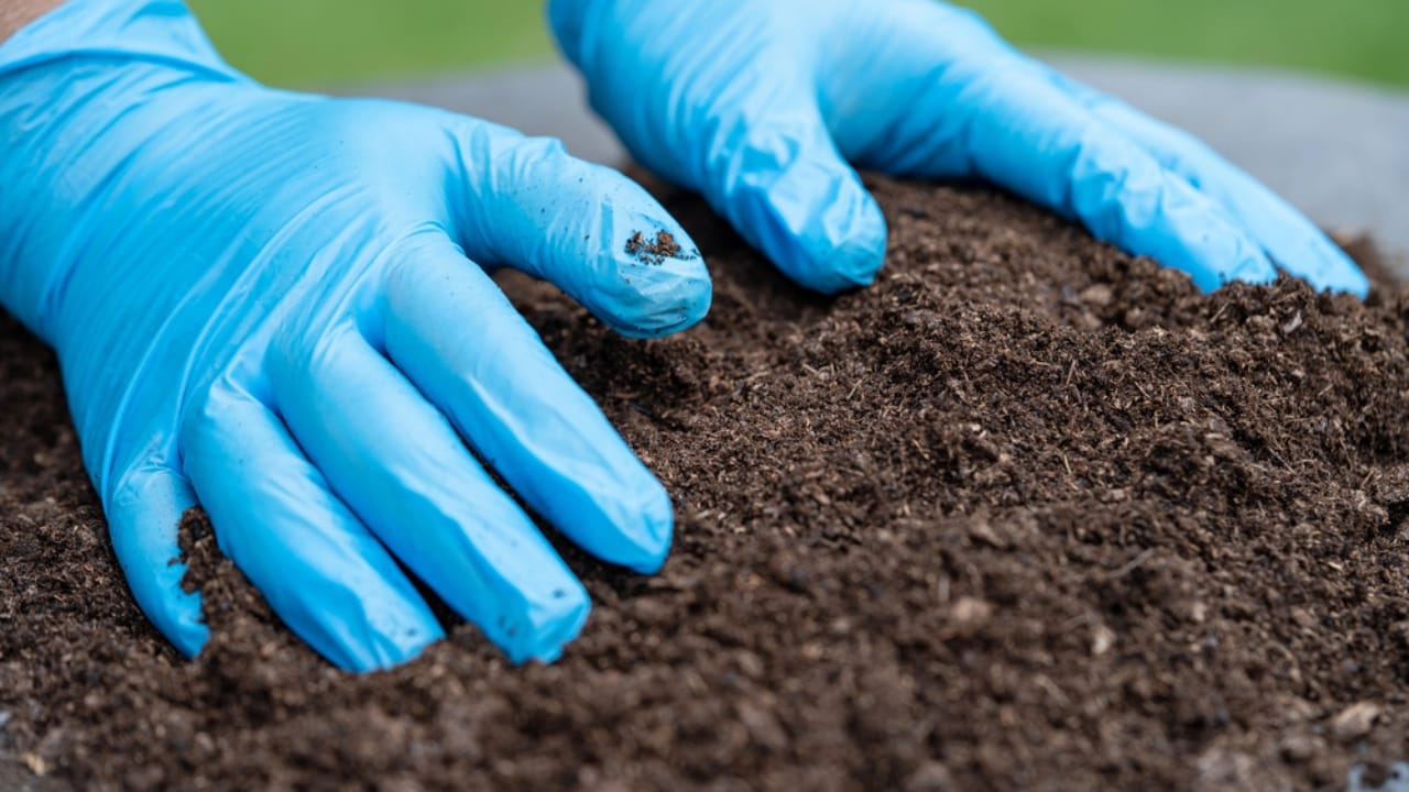 Topdressing Gains Ground as the Go-To Lawn Care Method - hand holding soil dp575033890 dnoh