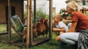 16 Reasons Backyard Chickens Belong in Your Home’s Backyard 1 16 Reasons Backyard Chickens Belong in Your Home’s Backyard - happy boy with chicken ss2331472489